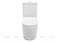 Унитаз-компакт Aquanet Rimless Cetus-C1 с сиденьем микролифтом BL-102N-TPT 107034241 - фото 25979 Унитаз-компакт Aquanet Rimless Cetus-C1 с сиденьем микролифтом BL-102N-TPT 107034241 - фото 25979