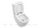 Унитаз-компакт Aquanet Rimless Cetus-C1 с сиденьем микролифтом BL-102N-TPT 107034241 - фото 25982 Унитаз-компакт Aquanet Rimless Cetus-C1 с сиденьем микролифтом BL-102N-TPT 107034241 - фото 25982