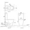 Унитаз-компакт Aquanet Rimless Cetus-C1 с сиденьем микролифтом BL-102N-TPT 107034241 - фото 25986 Унитаз-компакт Aquanet Rimless Cetus-C1 с сиденьем микролифтом BL-102N-TPT 107034241 - фото 25986