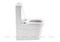Унитаз-компакт Aquanet Rimless Nova-C1 с сиденьем микролифтом BL-101N-TPT-A 107025527 - фото 25990 Унитаз-компакт Aquanet Rimless Nova-C1 с сиденьем микролифтом BL-101N-TPT-A 107025527 - фото 25990