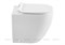 Приставной унитаз Aquanet Rimless Cetus-F BL-102N-FST 124158049 - фото 27323 Приставной унитаз Aquanet Rimless Cetus-F BL-102N-FST 124158049 - фото 27323