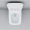 Подвесной унитаз AM.PM Inspire V2.0 FlashClean с сиденьем микролифт C50A1700SC 114042562 - фото 27360 Подвесной унитаз AM.PM Inspire V2.0 FlashClean с сиденьем микролифт C50A1700SC 114042562 - фото 27360
