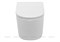 Подвесной унитаз Aquanet Rimless ATAGO-W BL-104N-WHT 107222361 - фото 27393 Подвесной унитаз Aquanet Rimless ATAGO-W BL-104N-WHT 107222361 - фото 27393