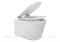 Подвесной унитаз Aquanet Rimless ATAGO-W BL-104N-WHT 107222361 - фото 27396 Подвесной унитаз Aquanet Rimless ATAGO-W BL-104N-WHT 107222361 - фото 27396