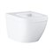 Унитаз подвесной Grohe Euro Ceramic 39328000 95362888 - фото 27404 Унитаз подвесной Grohe Euro Ceramic 39328000 95362888 - фото 27404
