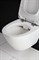 Подвесной унитаз BelBagno Alpha BB300CHR 81603374 - фото 27532 Подвесной унитаз BelBagno Alpha BB300CHR 81603374 - фото 27532