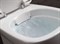 Подвесной унитаз IFO GRANDY Rimfree с сиденьем RP213100200 67308661 - фото 27578 Подвесной унитаз IFO GRANDY Rimfree с сиденьем RP213100200 67308661 - фото 27578