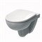 Подвесной унитаз IFO Special Rimfree с сиденьем RP731300200 67308625 - фото 27582 Подвесной унитаз IFO Special Rimfree с сиденьем RP731300200 67308625 - фото 27582