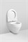 Подвесной унитаз AM.PM Spirit FlashClean C701700WH 54138872 - фото 27630 Подвесной унитаз AM.PM Spirit FlashClean C701700WH 54138872 - фото 27630